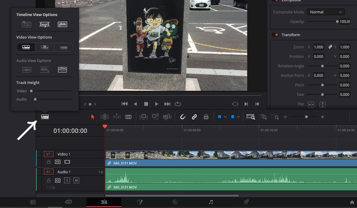 영상 요소 보기 설정