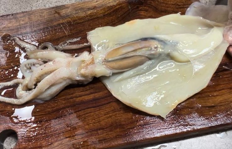 머리부분을 반으로 가르면 내장기관이 보입니다.