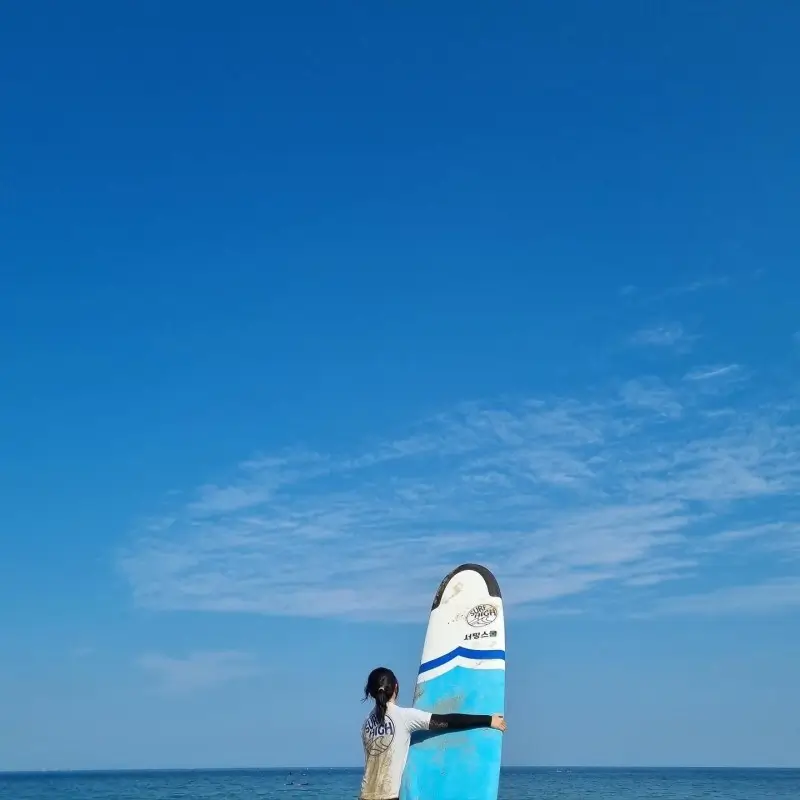서프하이