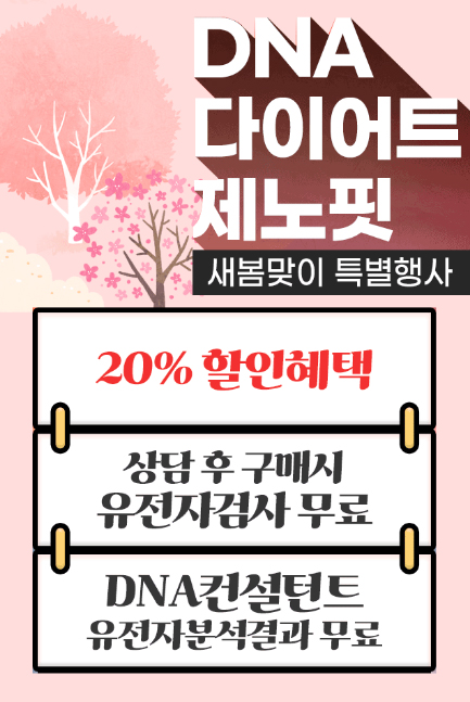  DNA 다이어트 제노핏유전자다이어트 가격 특별 행사!