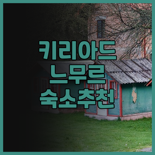 키리아드 느무르 숙소 추천 및 체크인