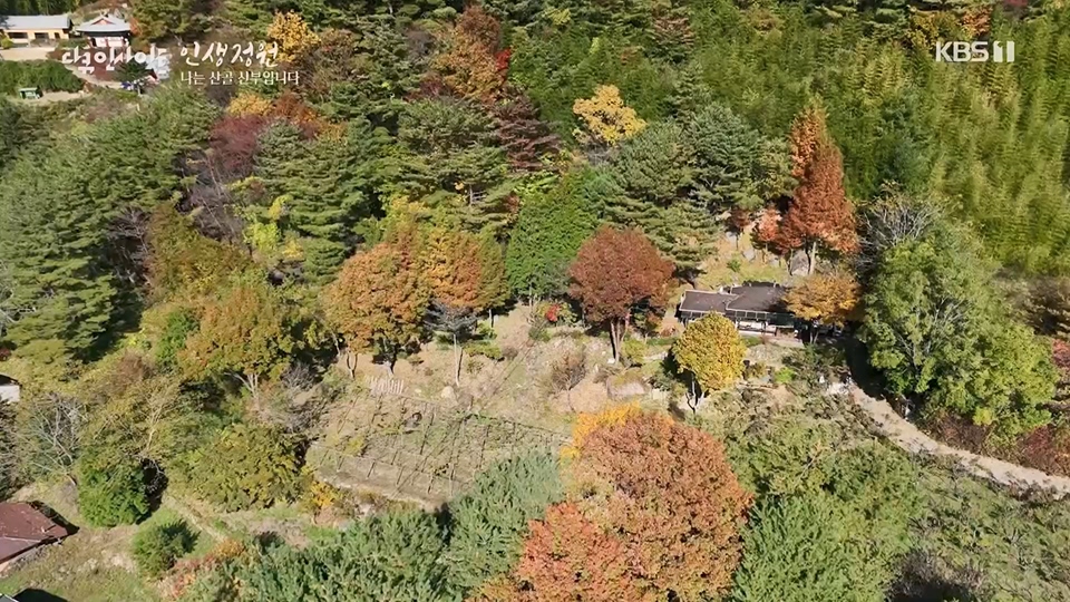 다큐 인사이트.E153.230608p.H264-F1RST.mp4_20230612_204532.607.jpg