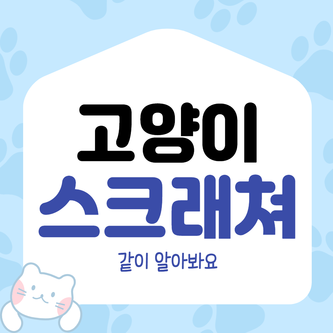  고양이 스크래쳐는 집사의 필수 준비물이에요