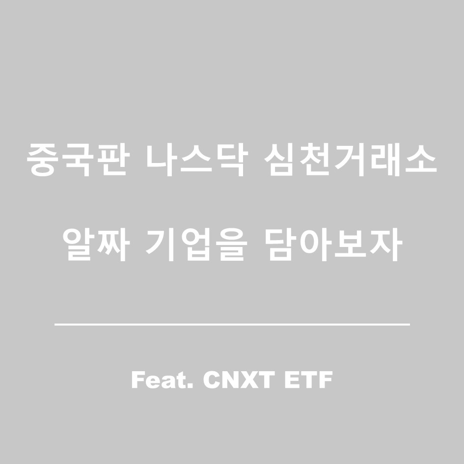  CNXT ETF(미국주식) - 중국판 나스닥 심천거래소 성장주에 투자