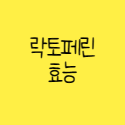  락토페린 효능