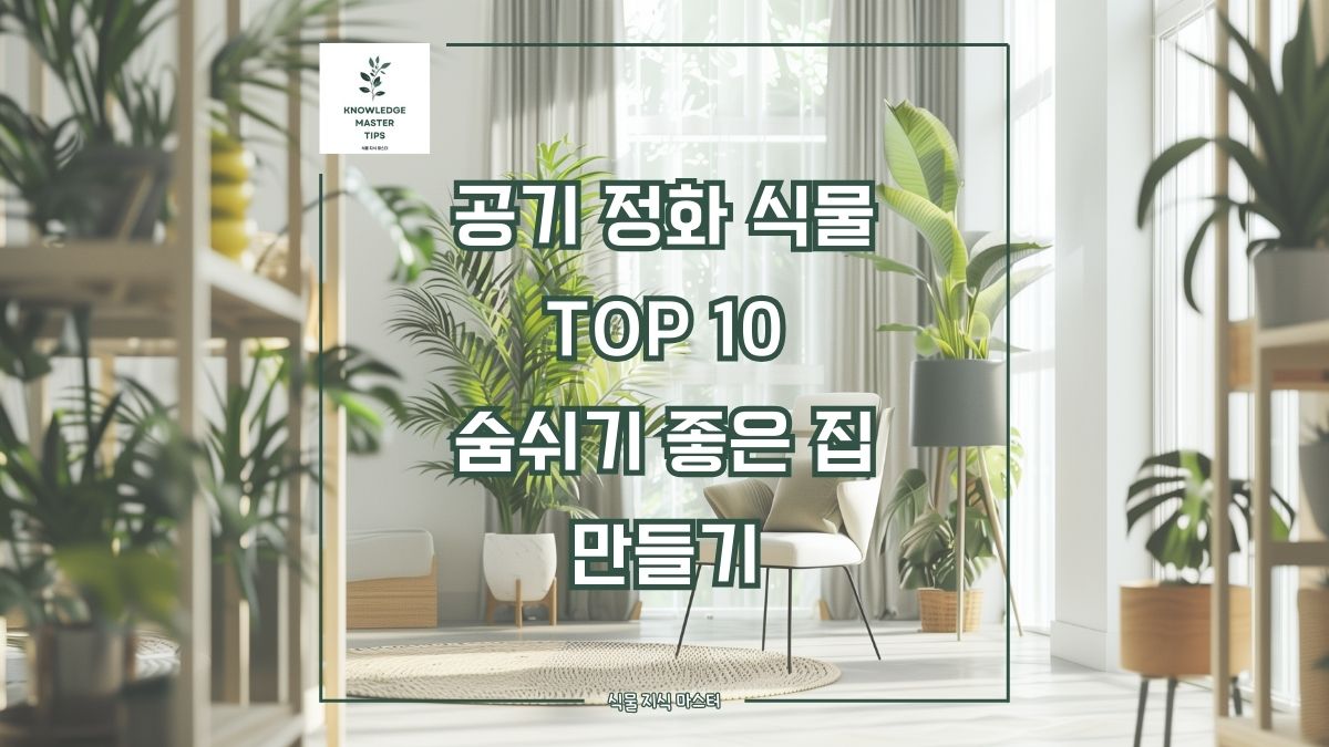 공기 정화 식물 Top10, 숨쉬기 좋은 집 만들기