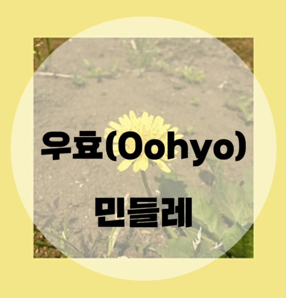  : 우효(Oohyo) : 민들레  (가사/듣기/Music Video)