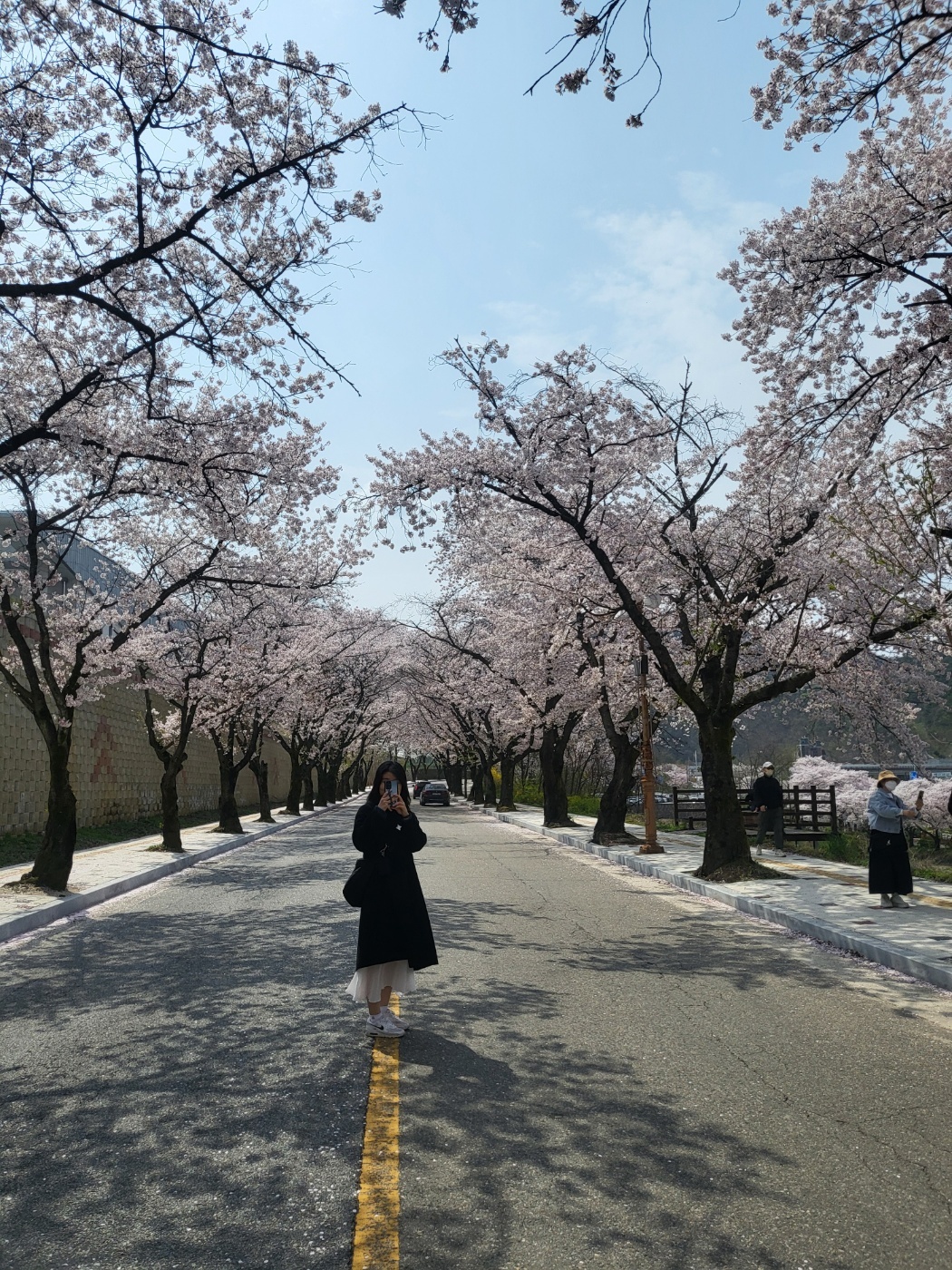 충주보쌈 이미지