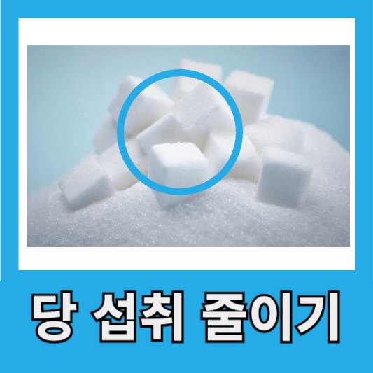 당 섭취 줄이는 법