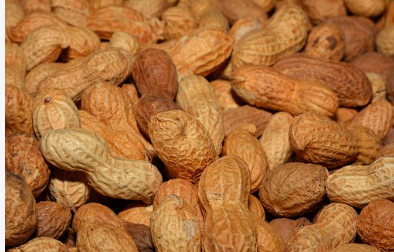 고지혈증에 좋은 음식 총 정리 11