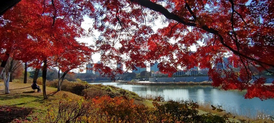 수도권 단풍 명소 - 올림픽공원