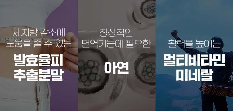 발효 밤피 효능 다이어트와 피부에 좋은 10