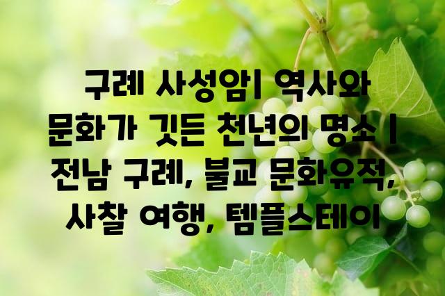 랜덤101