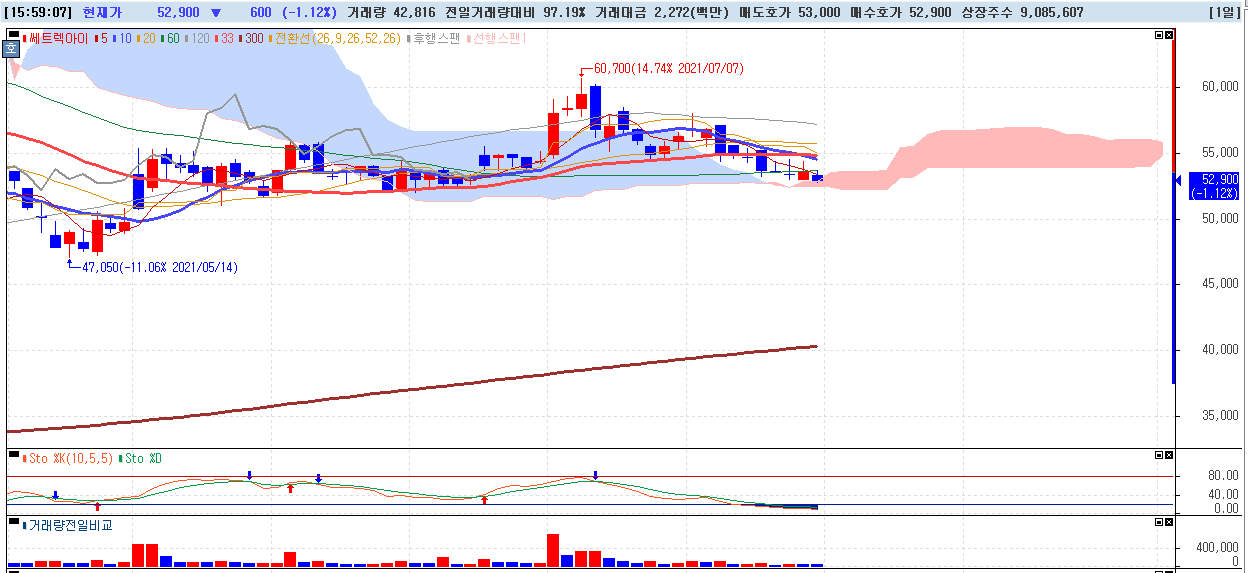 2021년-8월-1일-쎄트렉아이-일봉차트