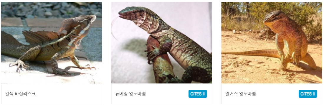 구미 쥬쥬동산