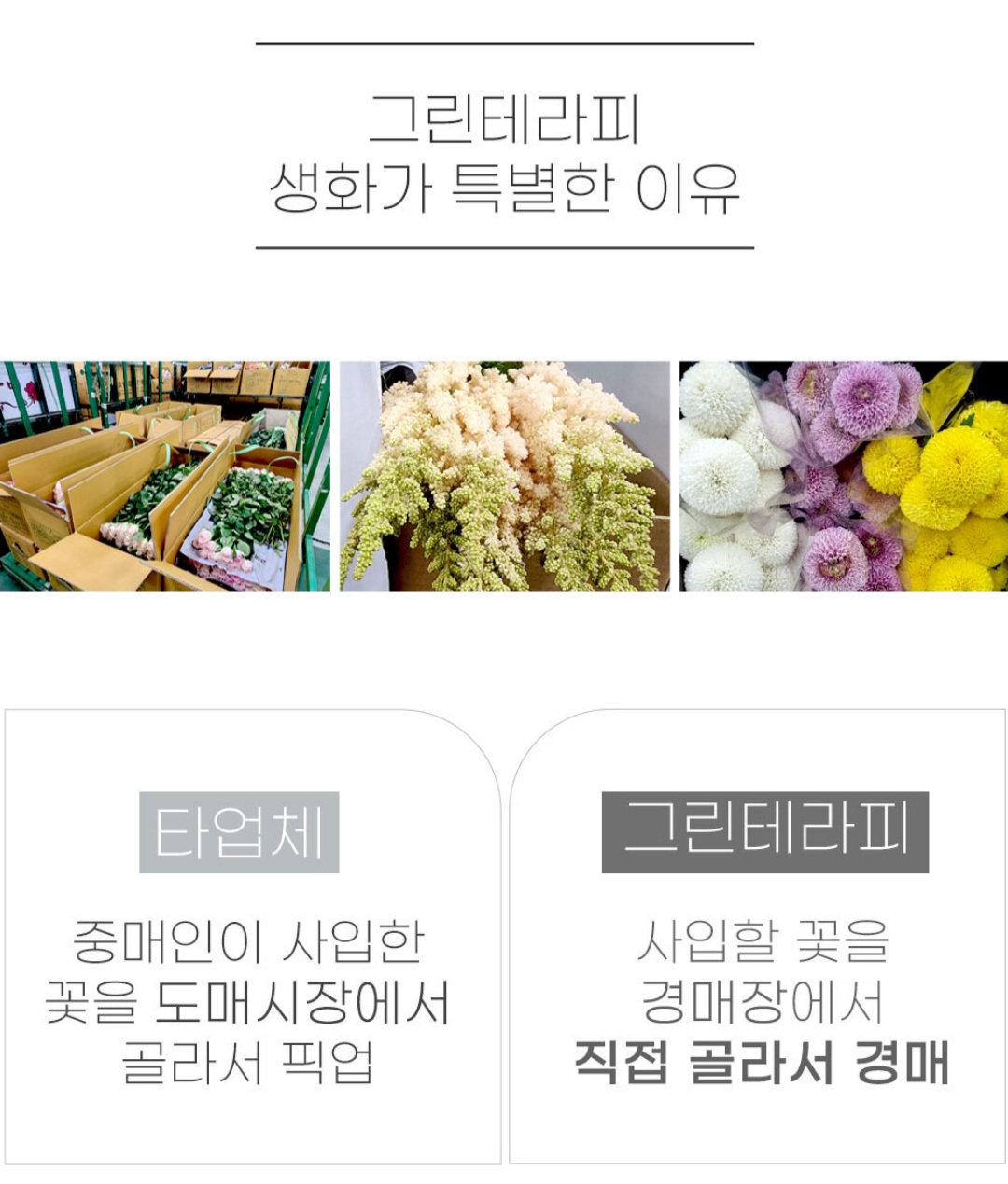 식탁에봄 이미지