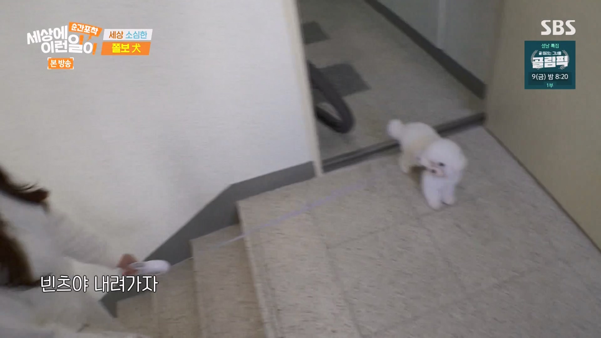 순간포착 세상에 이런일이.E1263.240203p-NEXT.mp4_20240204_164014.496.jpg