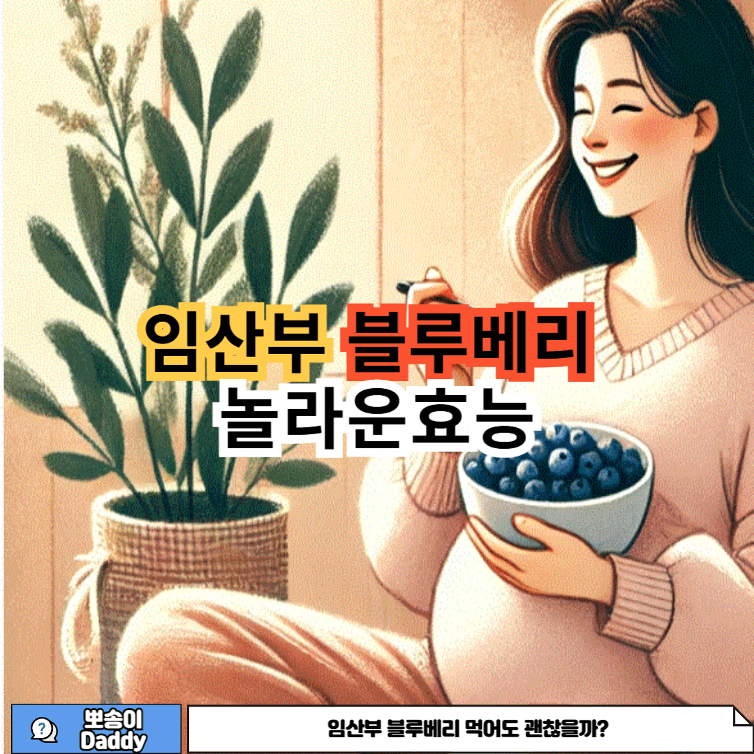 임산부 블루베리 놀라운 효능에 대한 사진
