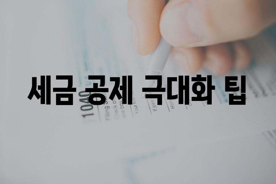 세금 공제 극대화 팁