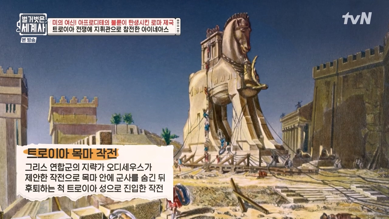 벌거벗은 세계사.E134.240117p-NEXT.mp4_20240117_203324.624.jpg