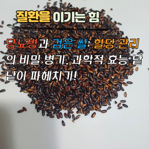 당뇨병과 검은 쌀: 혈당 관리의 비밀 병기, 과학적 효능 낱낱이 파헤치기!