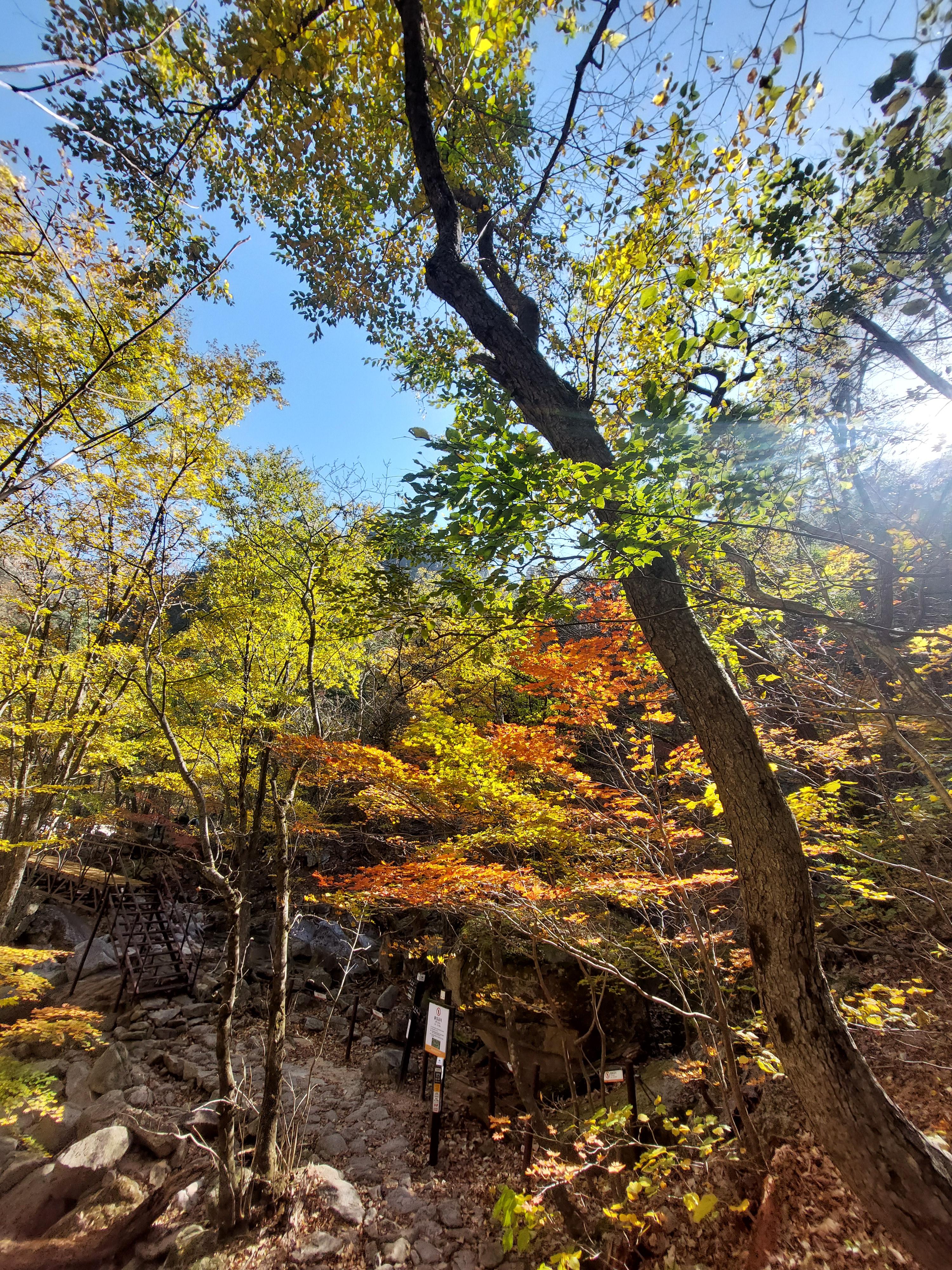 설악산