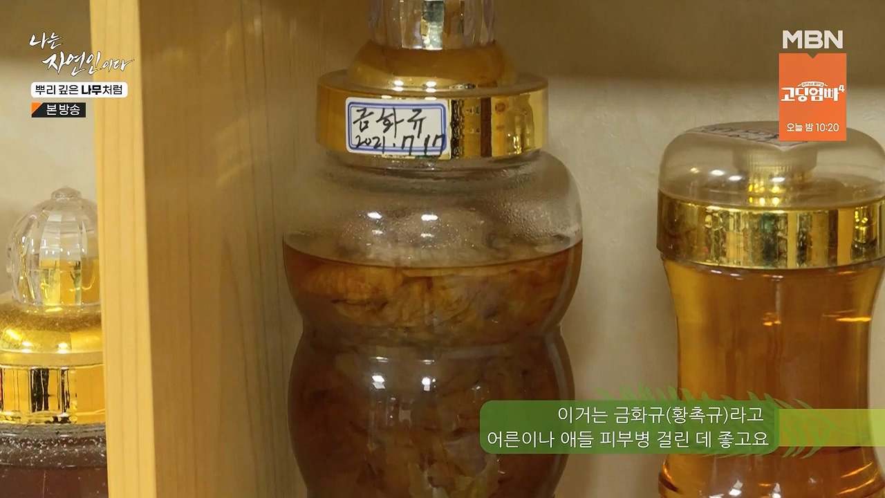 나는 자연인이다.E571.230914p-NEXT.mp4_20230914_202144.991.jpg
