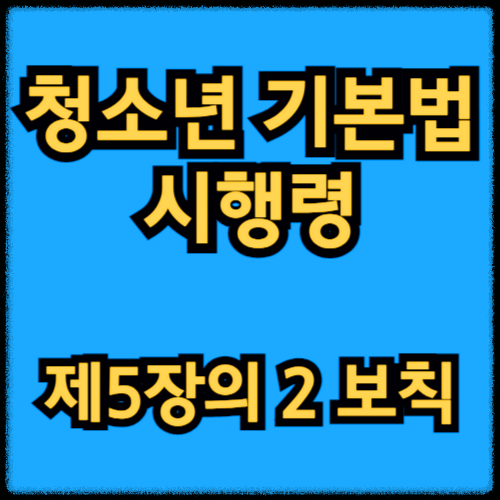 청소년 기본법 시행령 - 제5장의 2 보칙