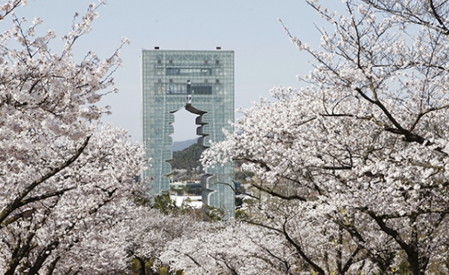 2025년 경주 벚꽃 개화시기 명소 여행지 총정리