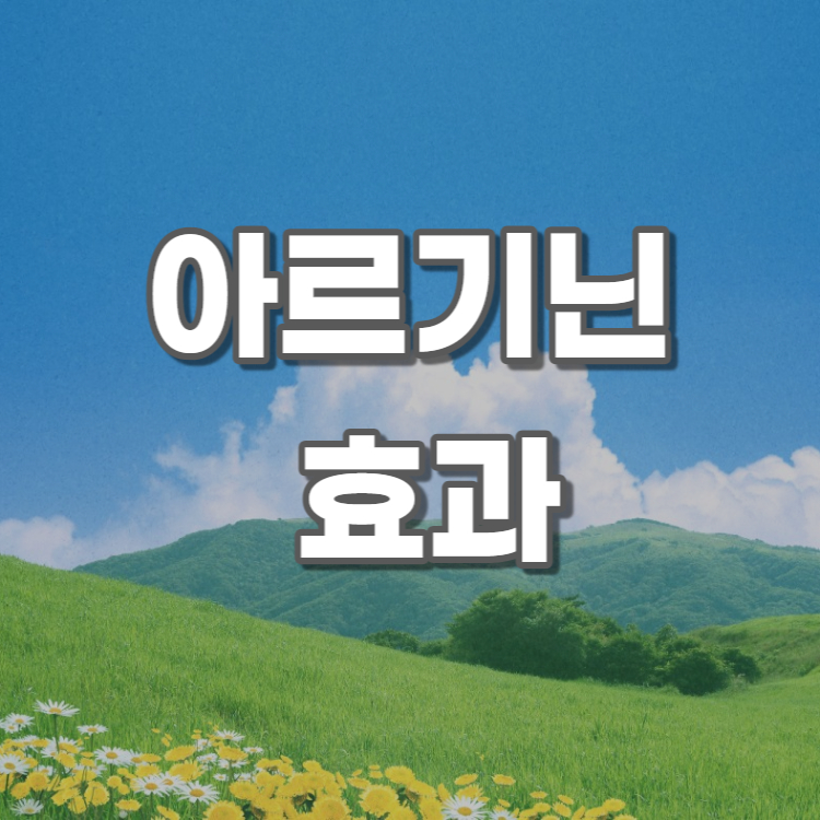 아르기닌-효과