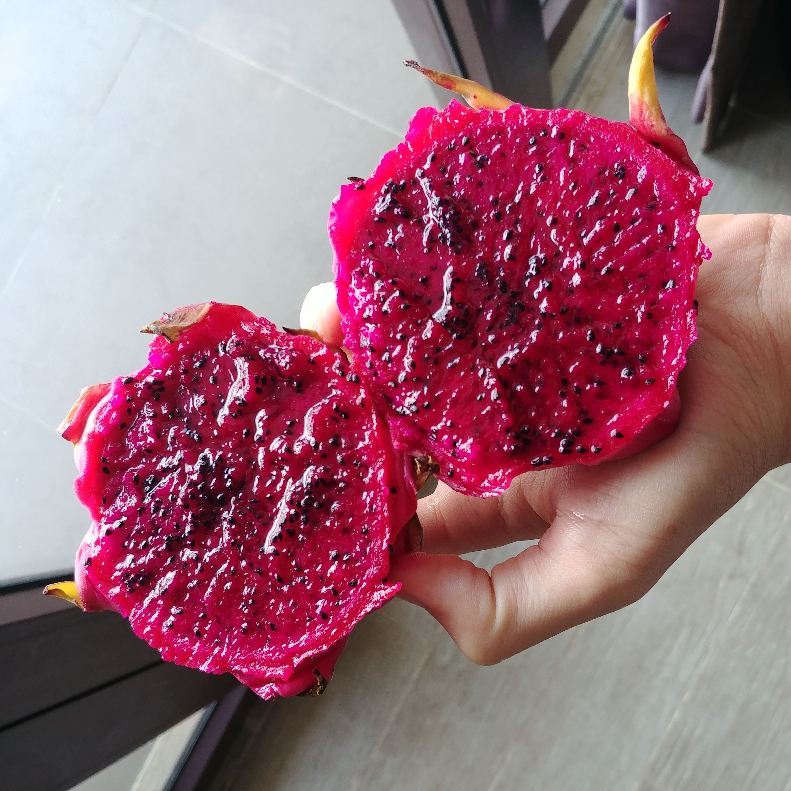 dragonfruit pitaya 용과 드래곤푸르츠