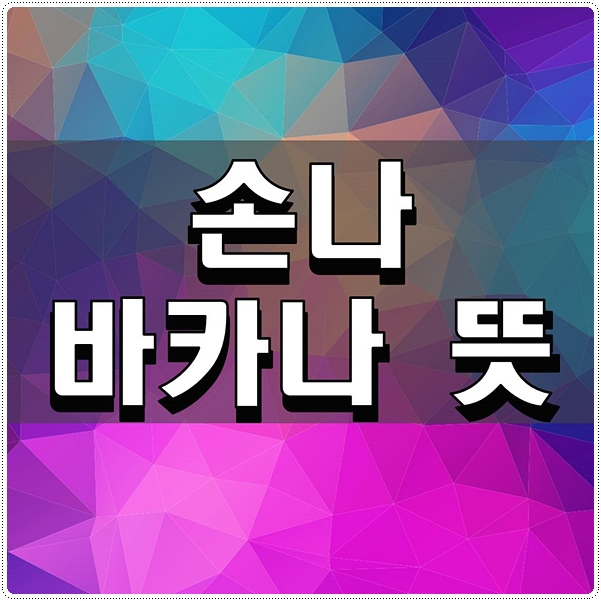  손나 바카나 뜻 궁금한 점 알아보기