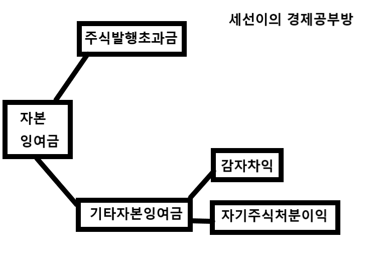자본-잉여금-모형도-사진