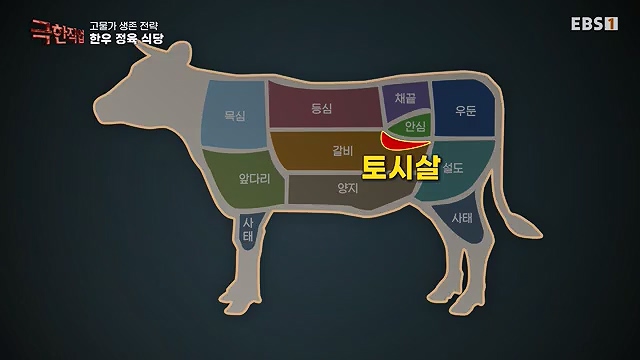 극한직업 822회 2024-09-28.mp4_20241012_172928.827.jpg
