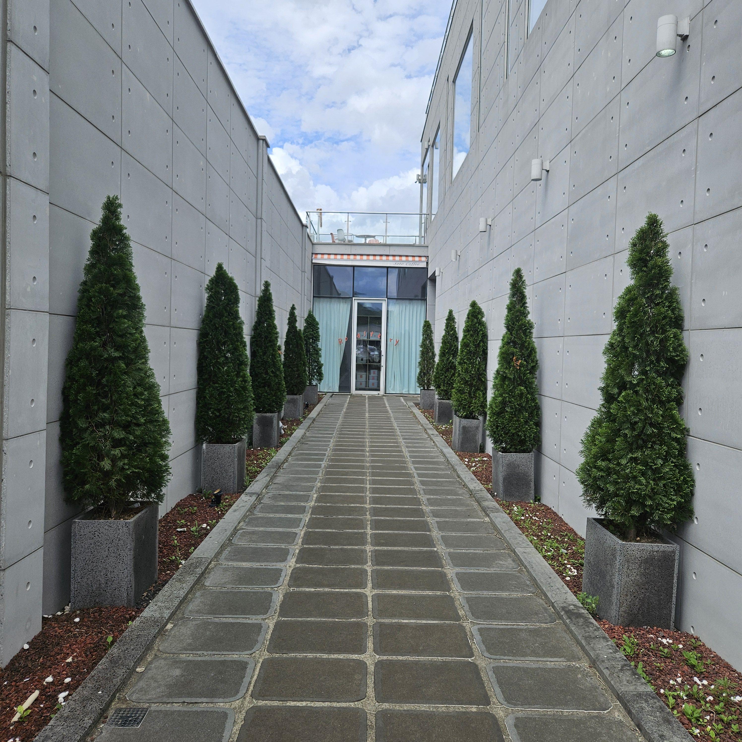 입구