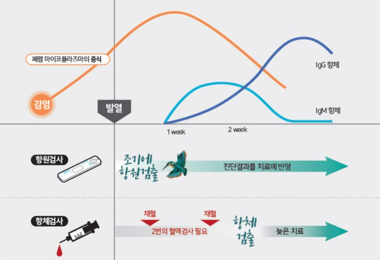 마이코플라즈마 폐렴 