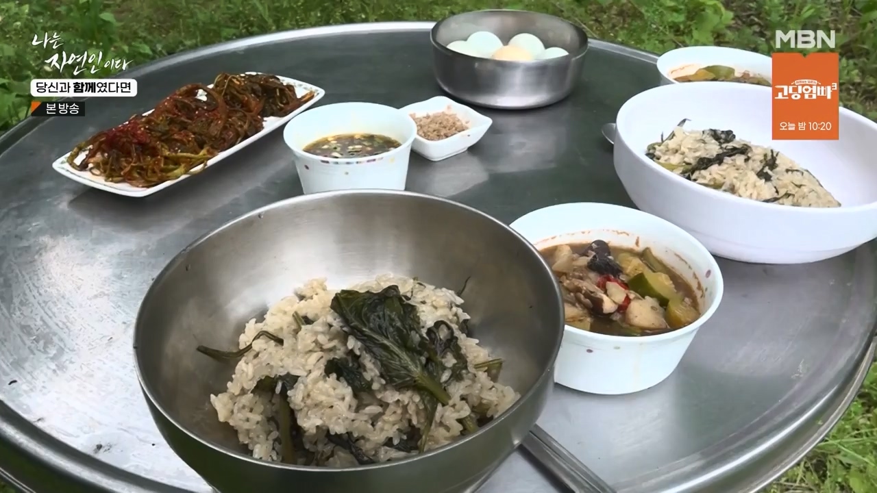 나는 자연인이다.E556.230532p-NEXT.mp4_20230601_201537.897.jpg