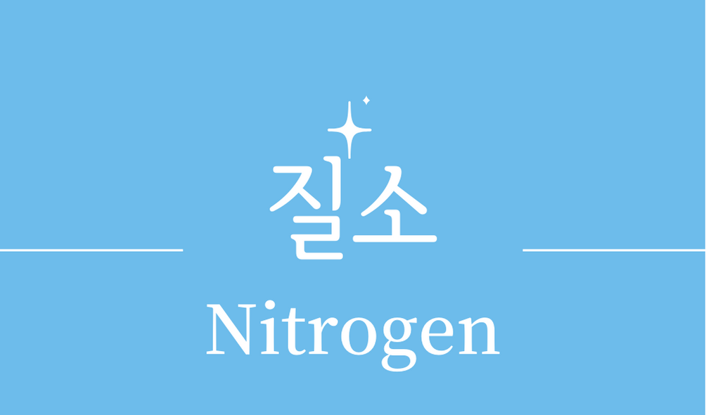 &#39;질소(Nitrogen)&#39;