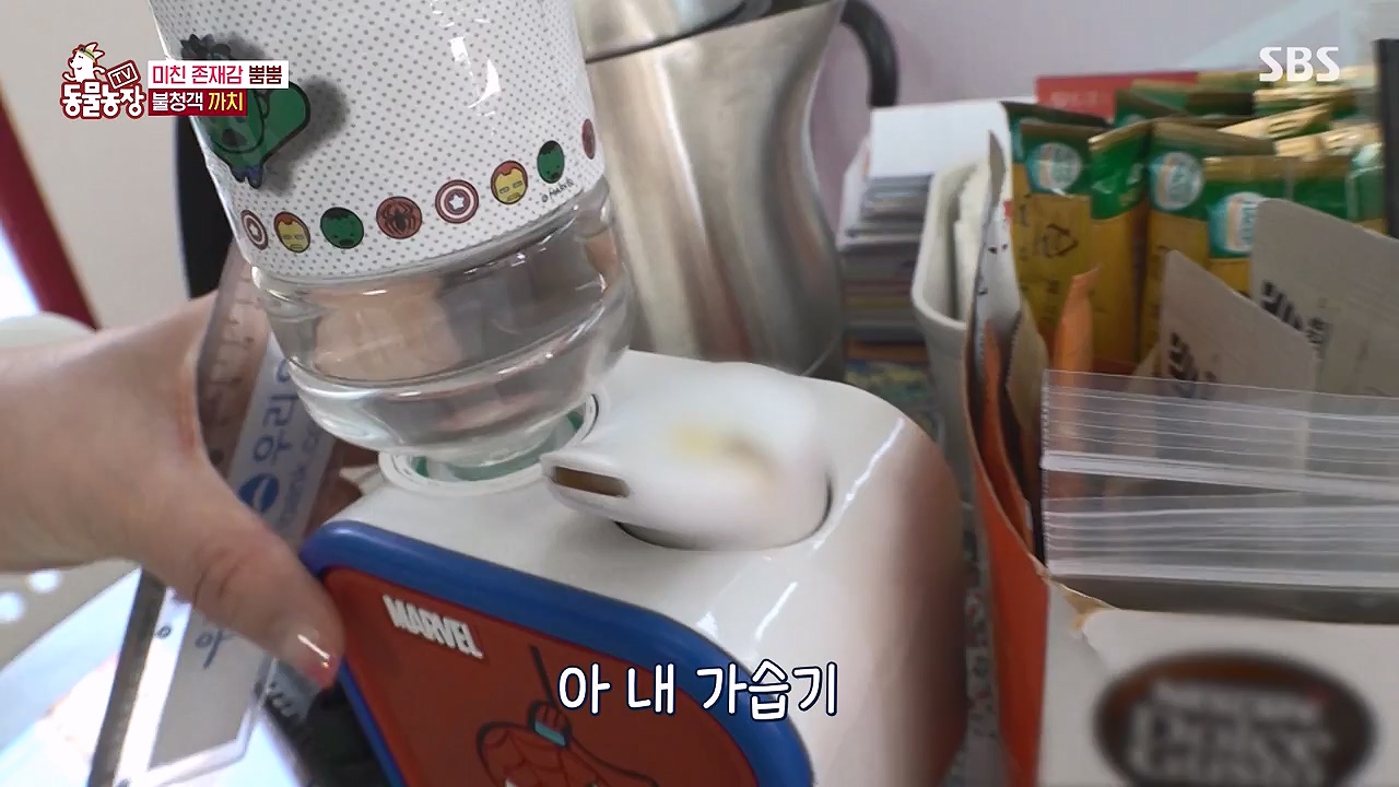 TV 동물농장.E1177.240624p-NEXT.mp4_20240623_163744.079.jpg