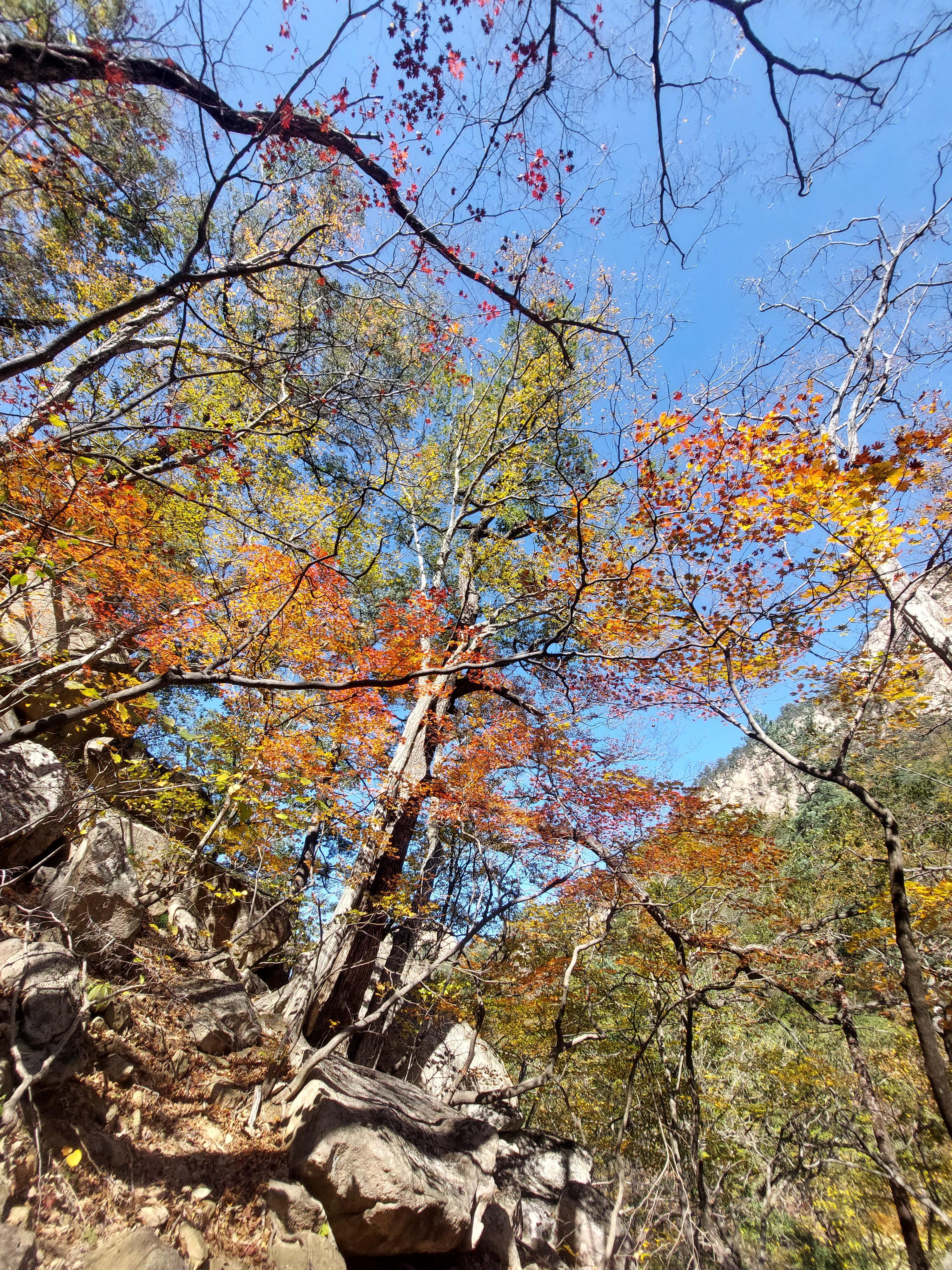설악산
