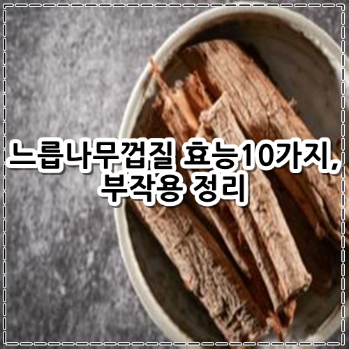 느릅나무껍질 효능10가지&#44; 부작용 정리