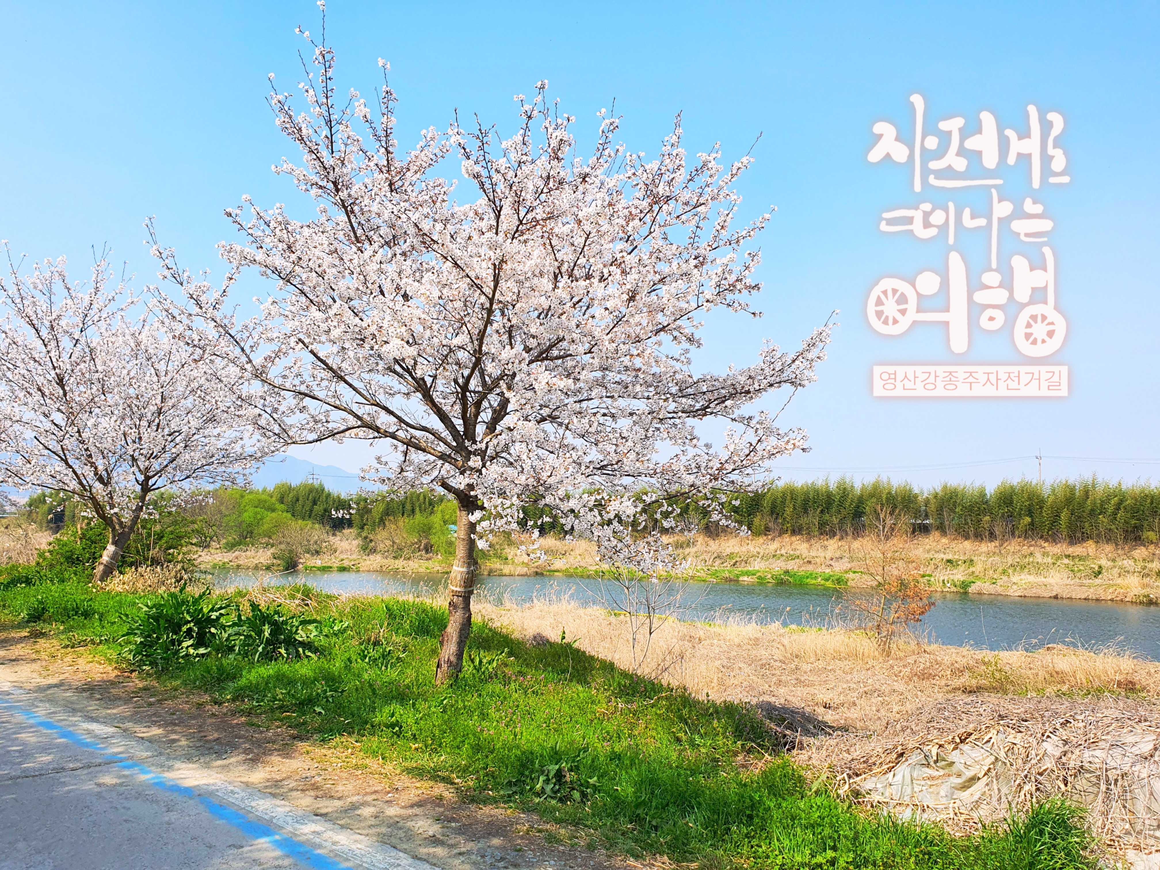  [디지털캘리] 자전거로 떠나는 여행(영산강종주)