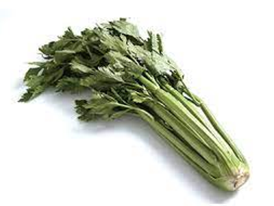 샐러리 효능 10가지 28