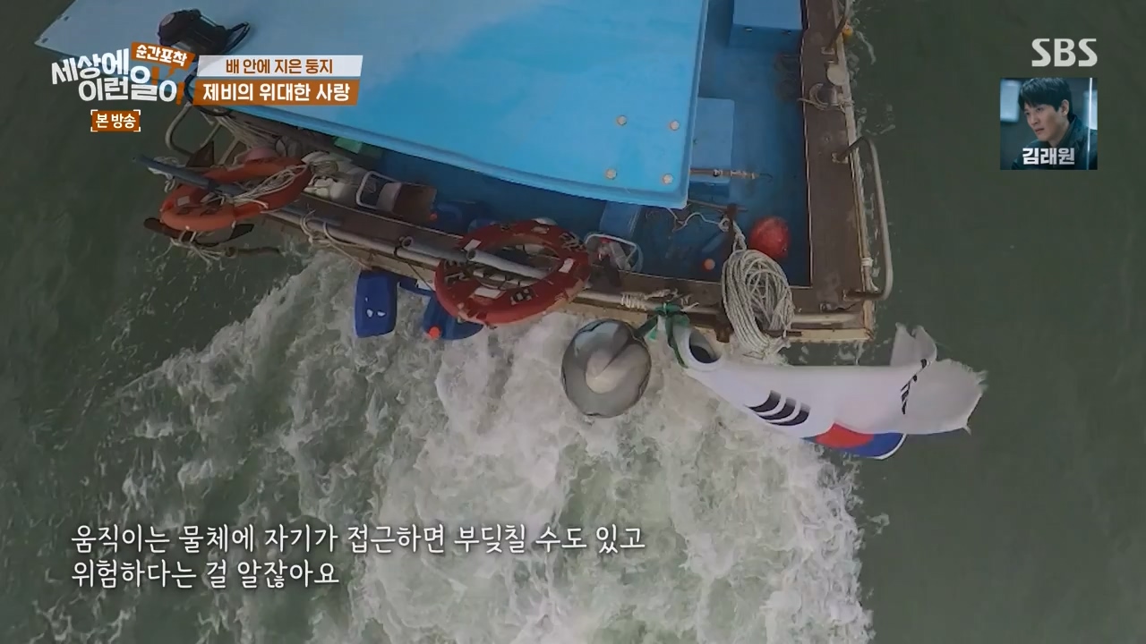 순간포착 세상에 이런일이.E1238.230723p-NEXT.mp4_20230724_205448.645.jpg