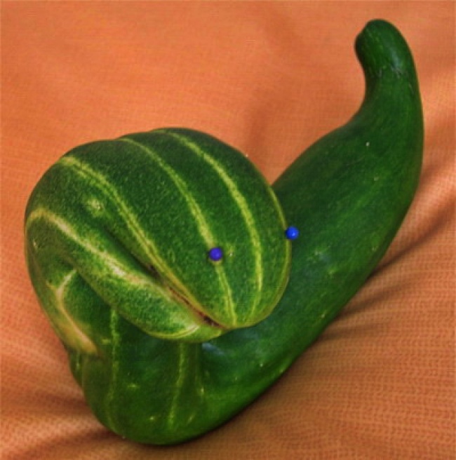 img.jpg