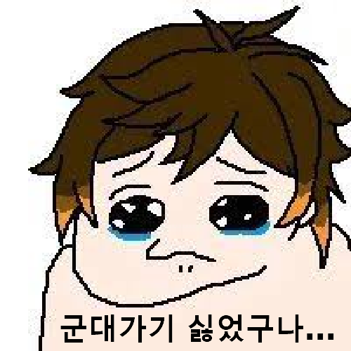 정말 군대가기 싫었구나 짤방 밈