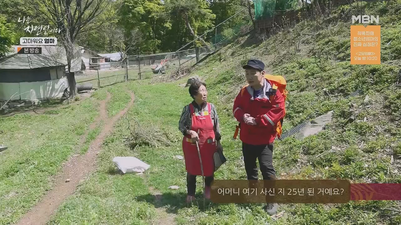 나는 자연인이다.E554.230518p.H264-F1RST.mp4_20230518_194508.655.jpg