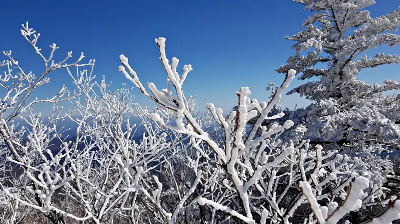 지리산 설경 상고대