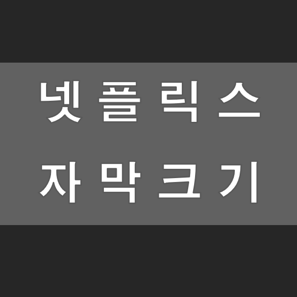 넷플릭스 자막크기