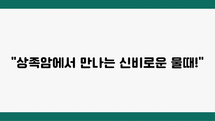 상족암의 물때에 따라 다양한 경관을 보여주는 모습